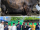 IMG-20230629-WA0085